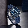 Blue / Oyster